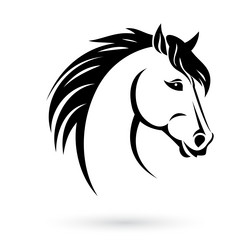 horse head Vector Image