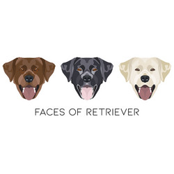 Yellow and black young labrador Royalty Free Vector Image