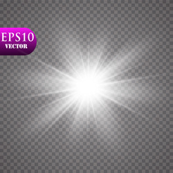 Starburst Glow Effect with Sparkles vector image