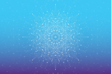 geometric abstract molecule with connected line vector image