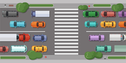 Road with cars in front of pedestrian zone vector