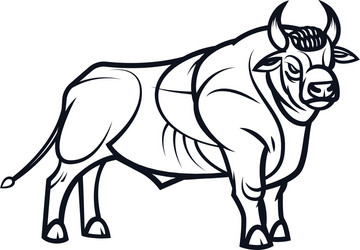 drawing of standing bull Vector Image