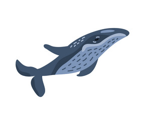 Humpback sealife design Royalty Free Vector Image