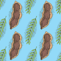 Tamarind Vector Images (over 1,200)