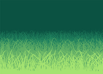 green grass on white background vector