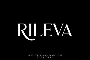 elegant sharp serif alphabet display font vector image