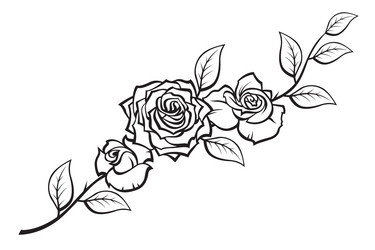 Black Rose Bouquet Vector Image