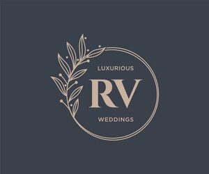 Rv initials letter wedding monogram logos Vector Image