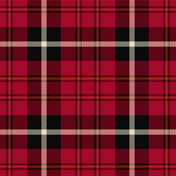 Red and White Tartan Pattern vector image