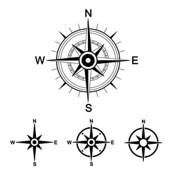 Wind rose compass vector