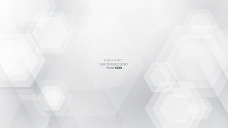 abstract white and gray hexagonal lines vector