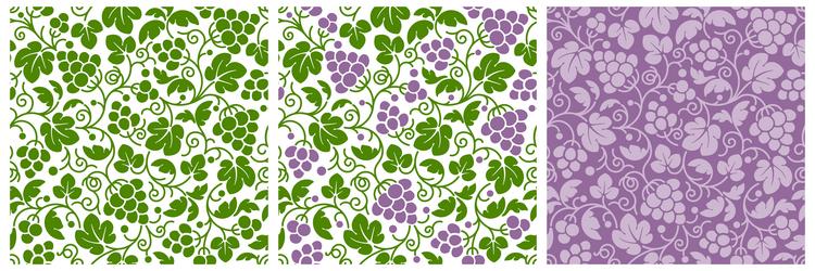 Grapevine Pattern Set vector image