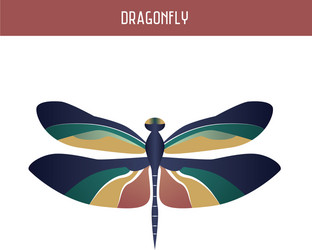 Dragonfly vector