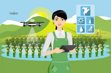 Farmer and drone are watering vegetables vector