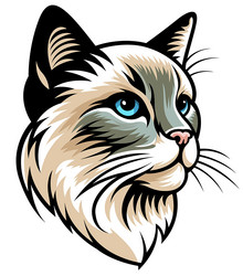 colored drawing of cats head Vector Image