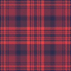 intricate red and navy plaid pattern ideal vector image