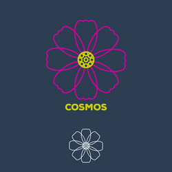 Cosmos vector