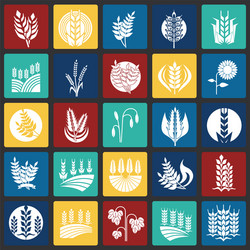 cereal icons set on color squares background vector image