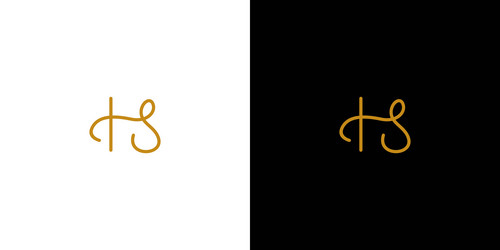 modern and unique handwritten letter hs initials