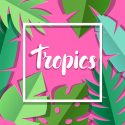 Background with paper palm leaves vector