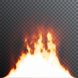 Bright colorful magic fire flame on transparent Vector Image