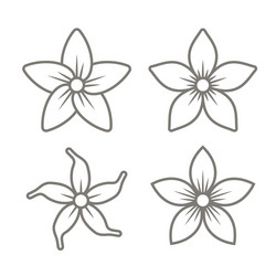 Floral Flower Icon Set - Jasmine & More Vector Image