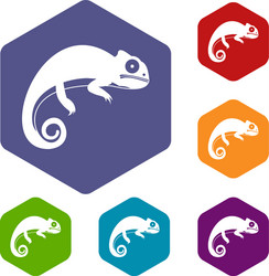 chameleon icons set vector