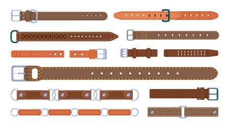 Clothing belt set of various colored belts Vector Image
