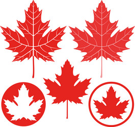 Maple Leaf Silhouette Vector Image
