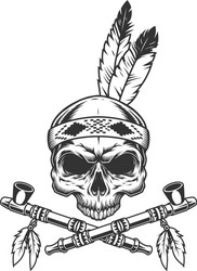 Monochrome Indian Skull with Feathers Vector Image
