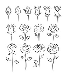 Roses design elements Royalty Free Vector Image