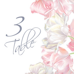 tulip number card pink Vector Image