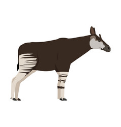 Okapi Vector Images (over 190)