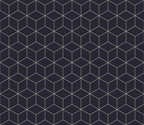 sophisticated geometric structure outline vector image