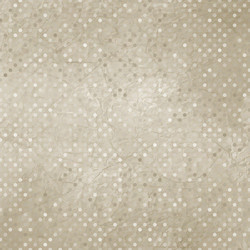 vintage polka dot texture vector