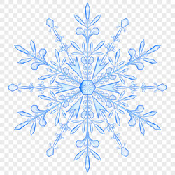 Big translucent christmas snowflake vector