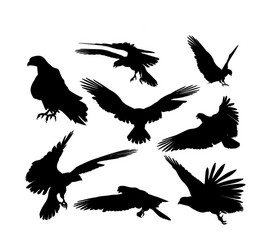 Falcon Silhouettes Vector Image