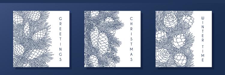 set of compositions with coniferous branches vector image