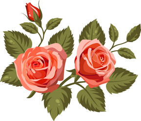 Isolated set flowers Royalty Free Vector Image