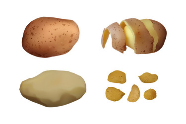 Whole cut peeled and unpeeled potato chips Vector Image