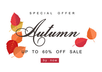 autumn sale background template layouts vector