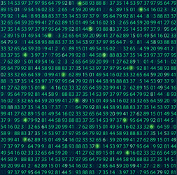 template coding and programming theme vector image