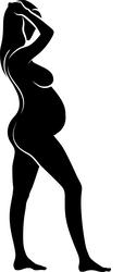 pregnant Vector Image