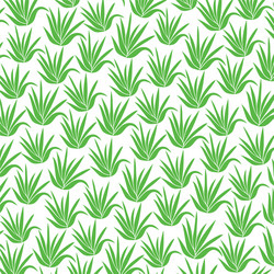 Background pattern with aloe plant icons vector