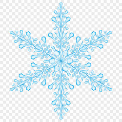 big translucent christmas snowflake vector