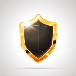 bright metal golden glossy shield with black blank vector