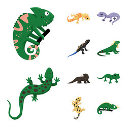 Design animal and reptile symbol vector