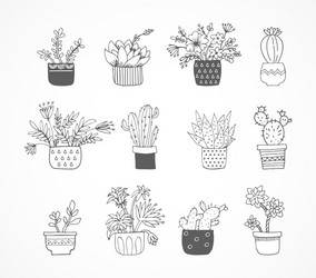 Set doodle cacti Royalty Free Vector Image - VectorStock
