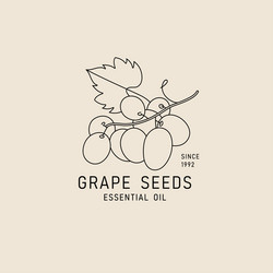 packaging design element and icon in linear style vector image
