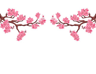 Pink Cherry Blossom Branches Vector Image